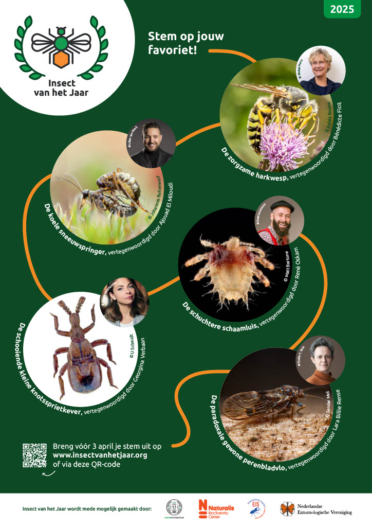 Poster Insect van het Jaar 2025