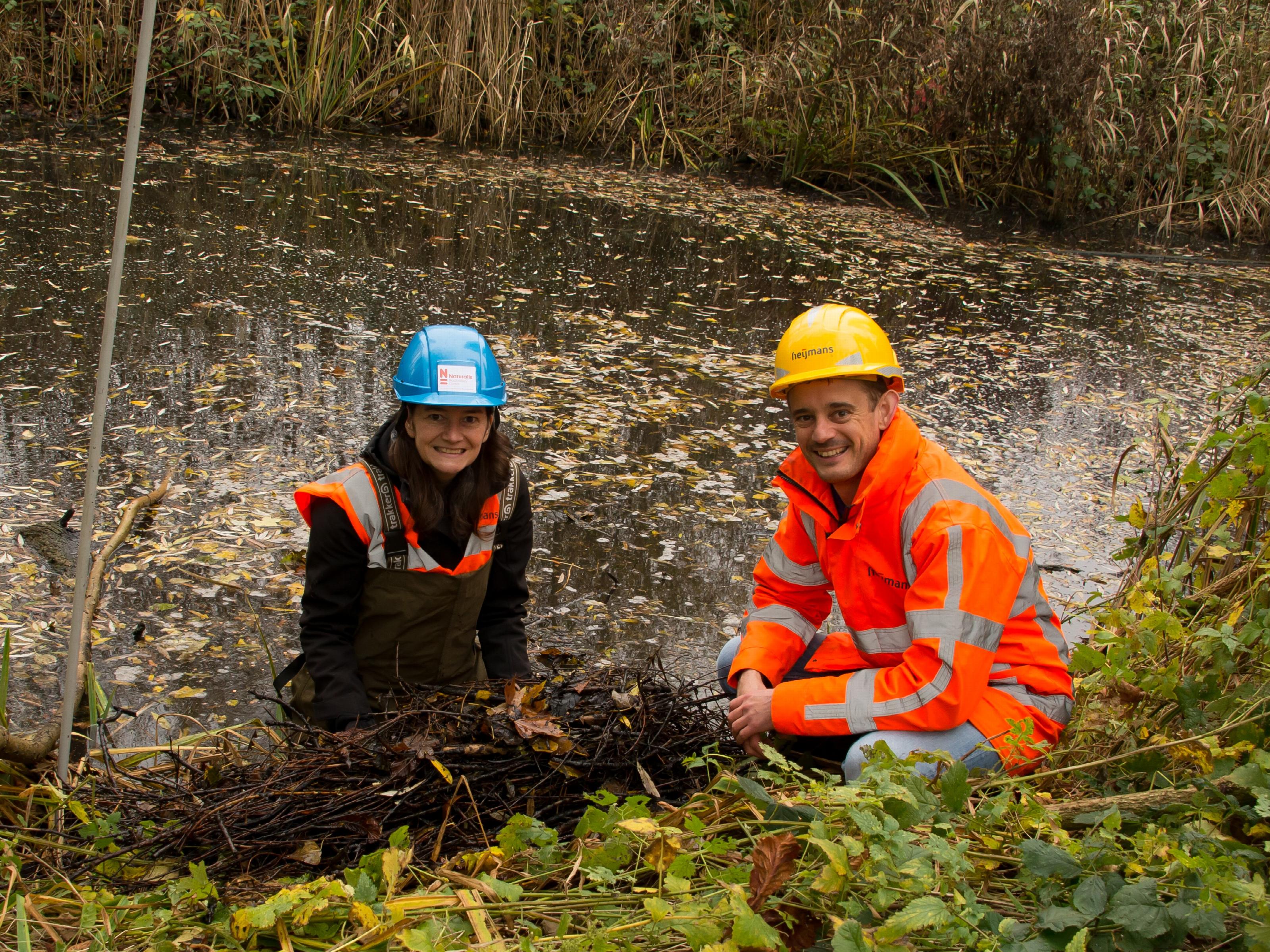 Het eerste verzamelde meerkoetnest in Vijfsluizen door hoogleraar Barbara Gravendeel van Naturalis Biodiversity Center en senior adviseur ecologie Vincent Nederpel van Heijmans voor onderzoek naar het effect van zwerfafval.