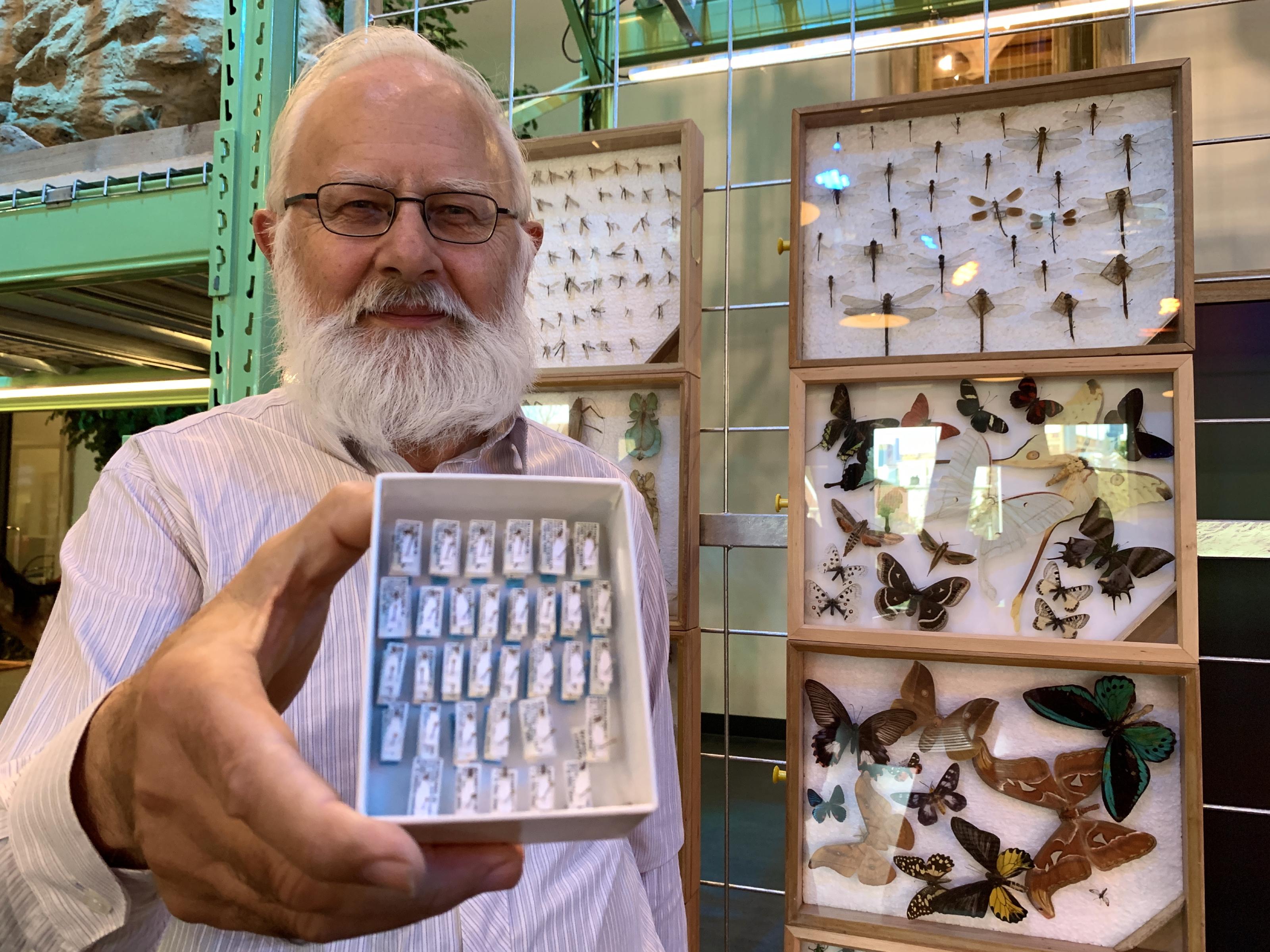 Kees van Achterberg met de nieuwe sluipwespsoort