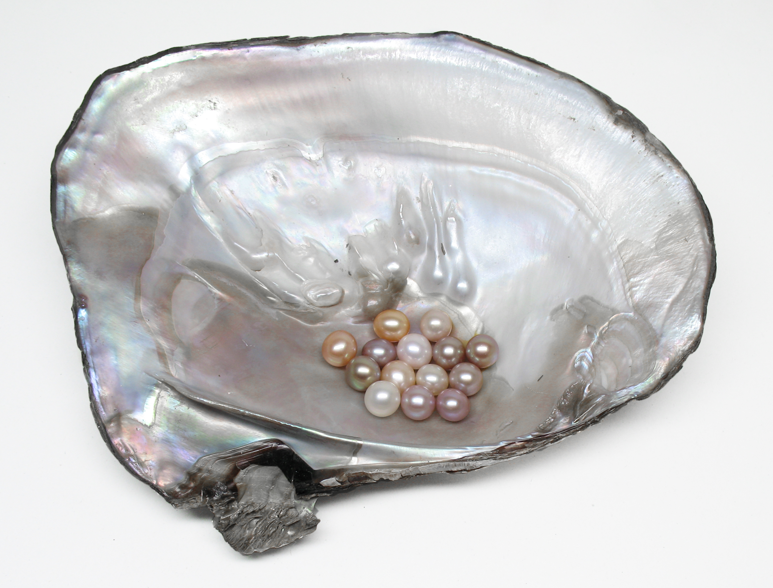 Chinese zoetwaterparels