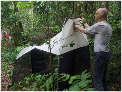 De malaiseval en Menno die kijkt of er veel insecten in de fles alcohol zijn gevallen. (Foto Sofie Hovius)