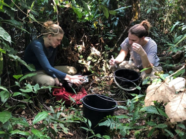 Meting van de sterkte van het spinnenweb.
