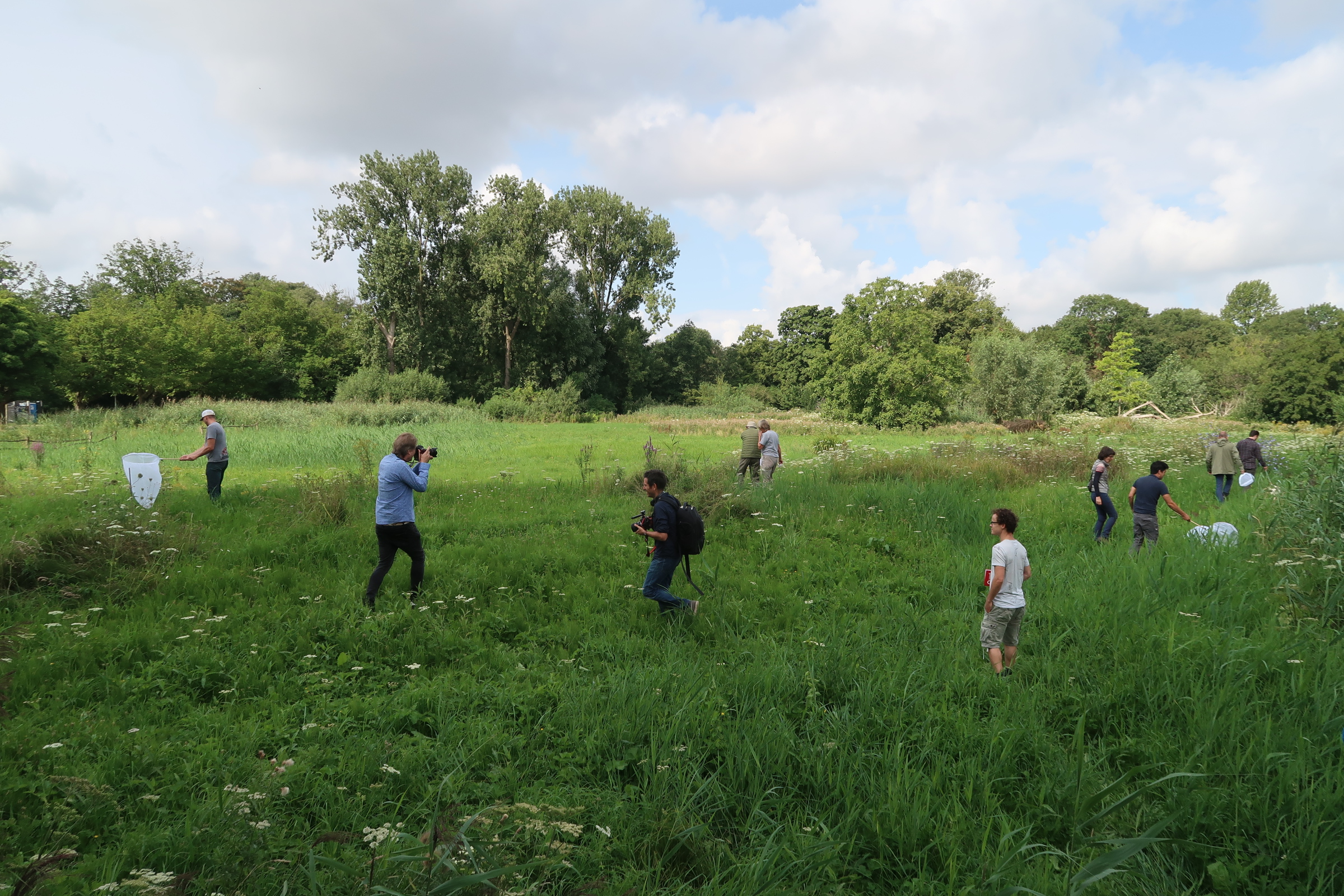 'Citizen scientists' tijdens onderzoek in het Vondelpark (foto: Iva Njunjić, Taxon Expeditions, Leiden)