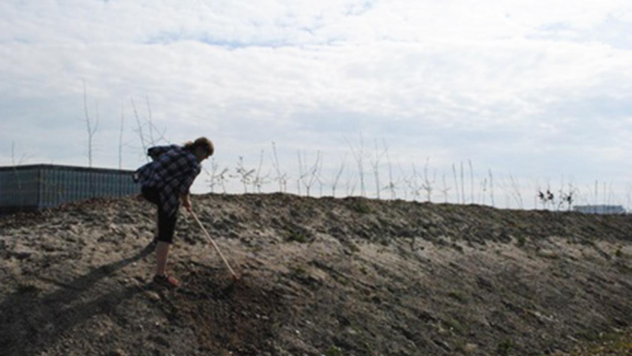 Lisette van Kolfschoten graaft