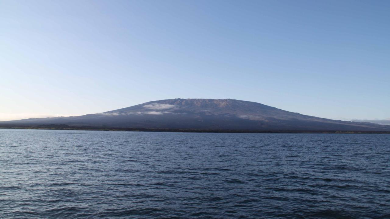 Fernandina Island Galápagos