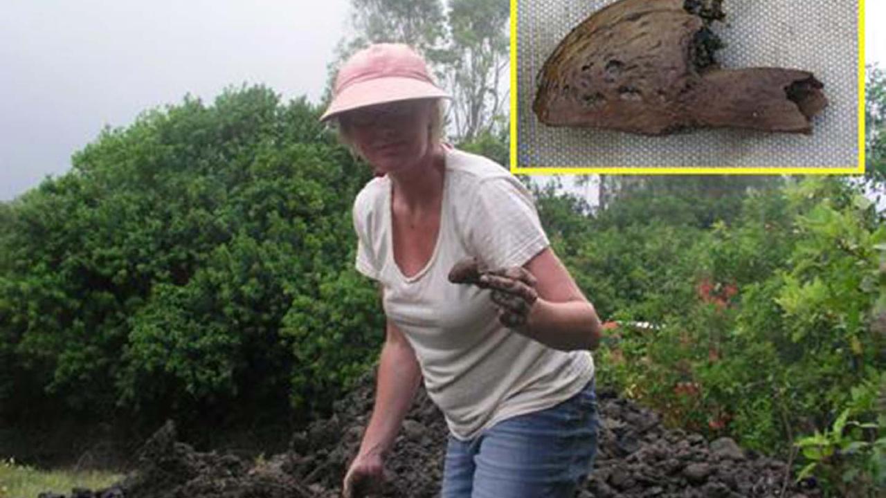 Onderzoeker met dodosnavel