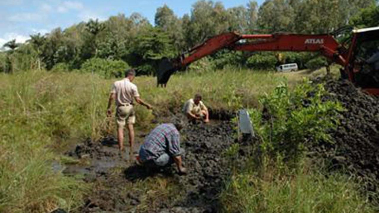 Dodo-opgravers aan het werk