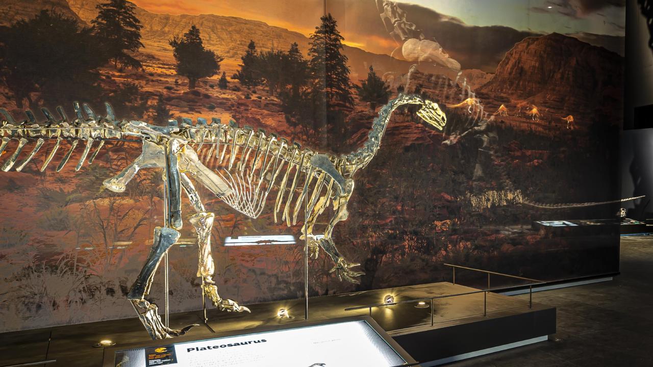 Naturalis zaal dinotijd