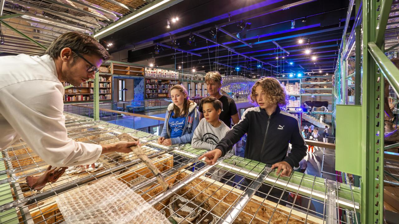 The gallery Live Science