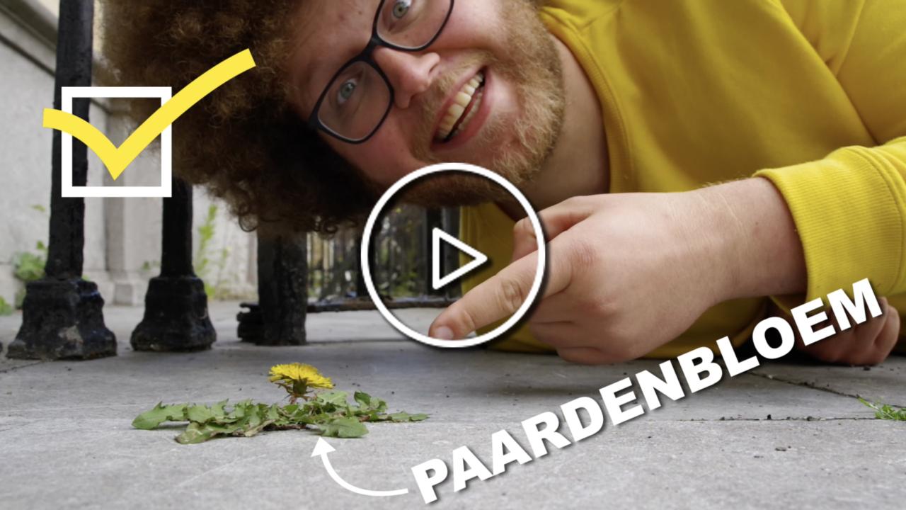 Auke-Florian Hiemstra legt uit hoe het werkt