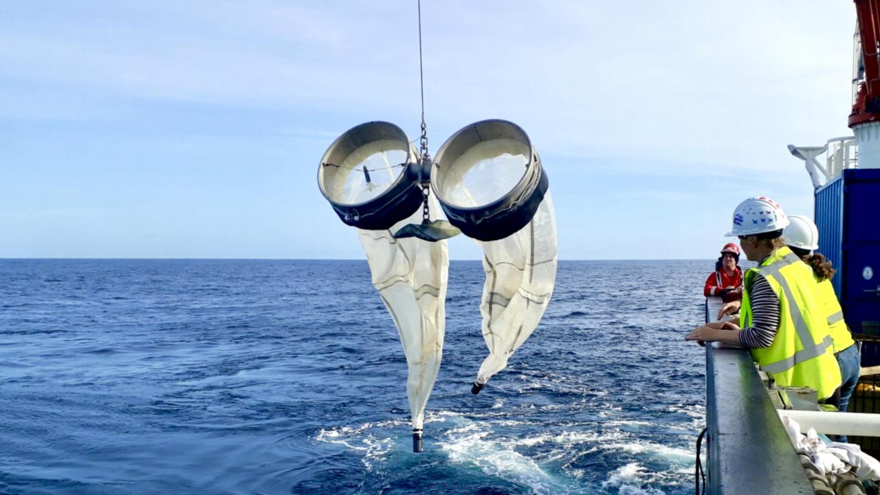 Veldwerk Katja Peijnenburg