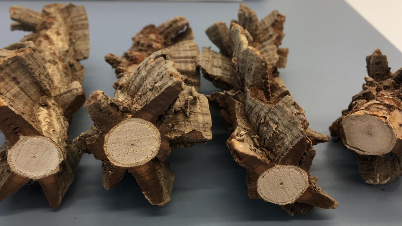 Achtergrondafbeelding Vicky Beckers