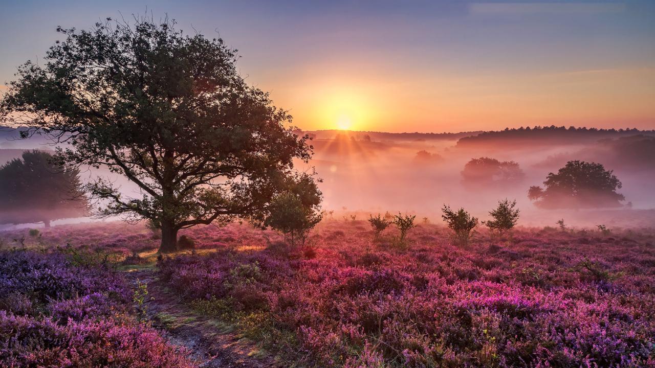Landschap Natuurmonumenten