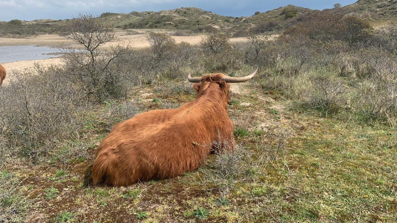 Nature reserve Staatsbosbeheer