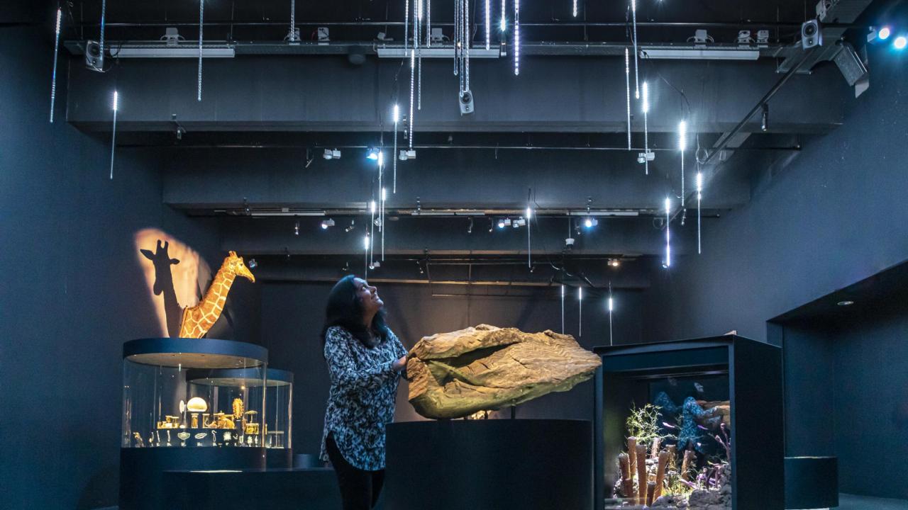 Visitor in the exhibition Evolution