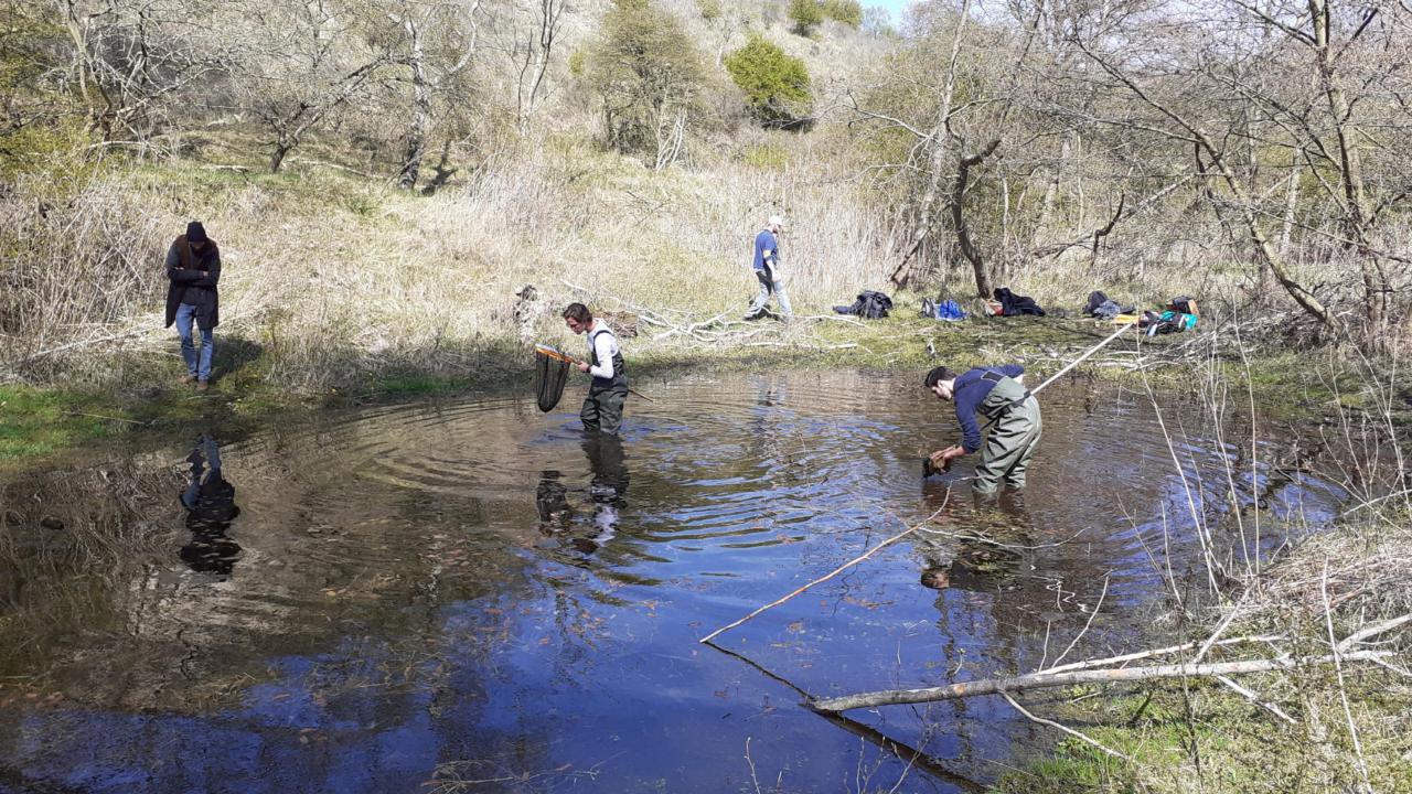 Veldwerk Wielstra team - Nienke Prins