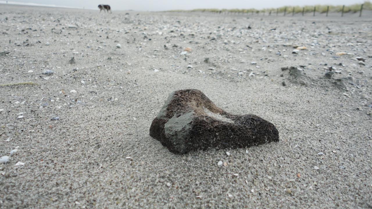 Bot op de maasvlakte