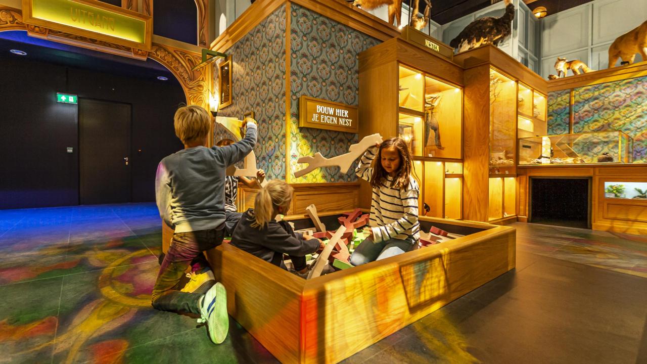 Kinderen bouwen een nest