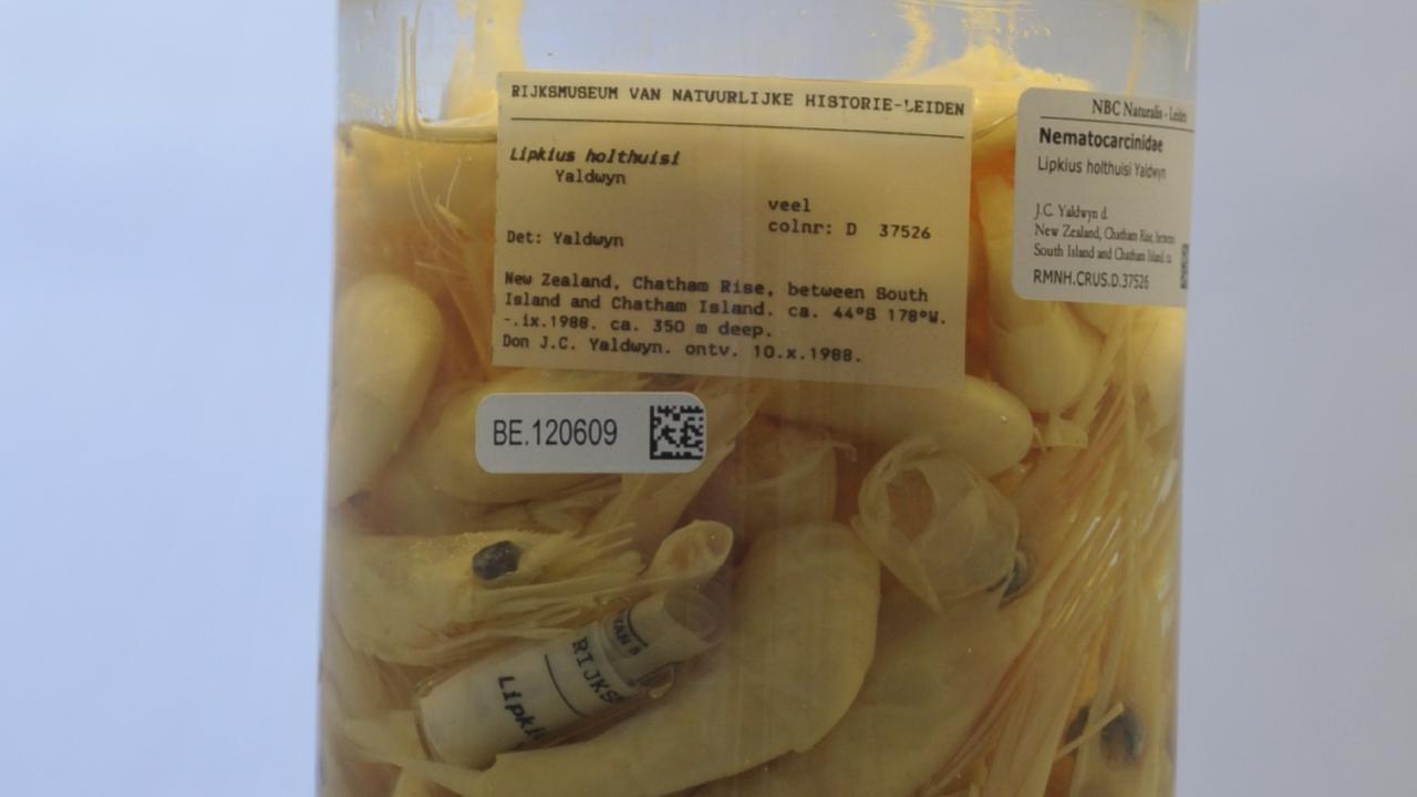 Jar of cooked shrimp