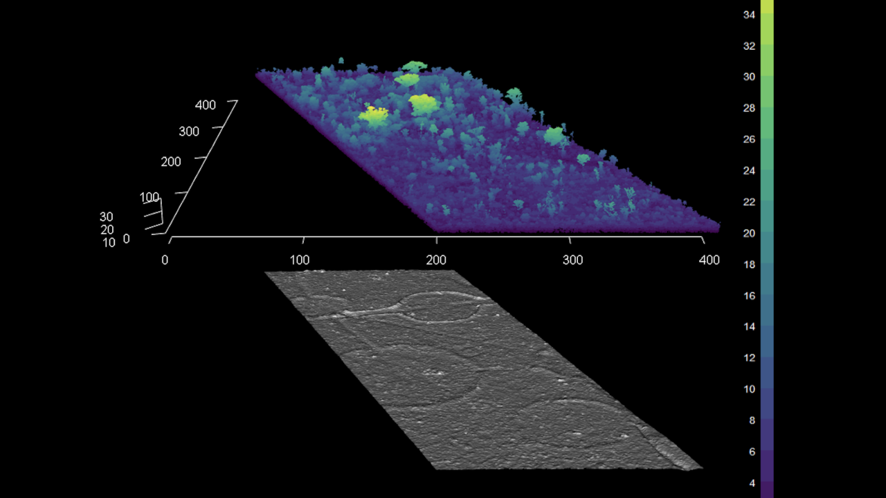 LiDAR-weergave van de bodem