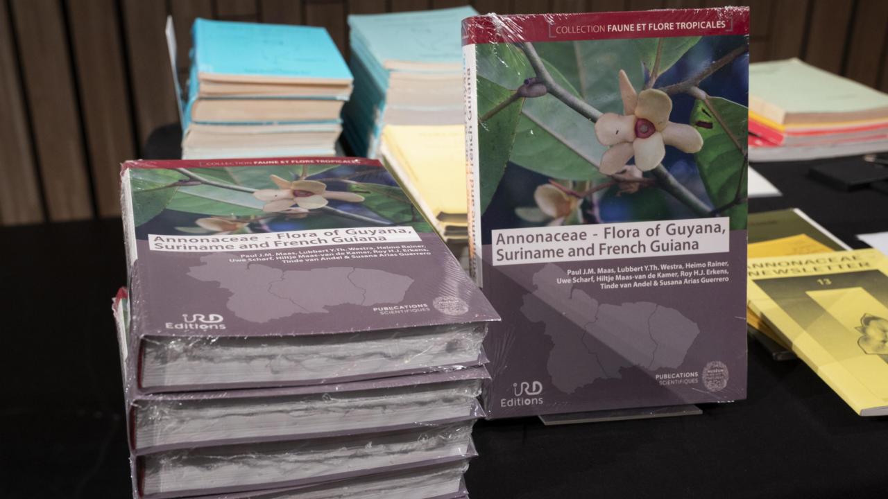 Picture of the book Annonaceae - Flora of the Guianas