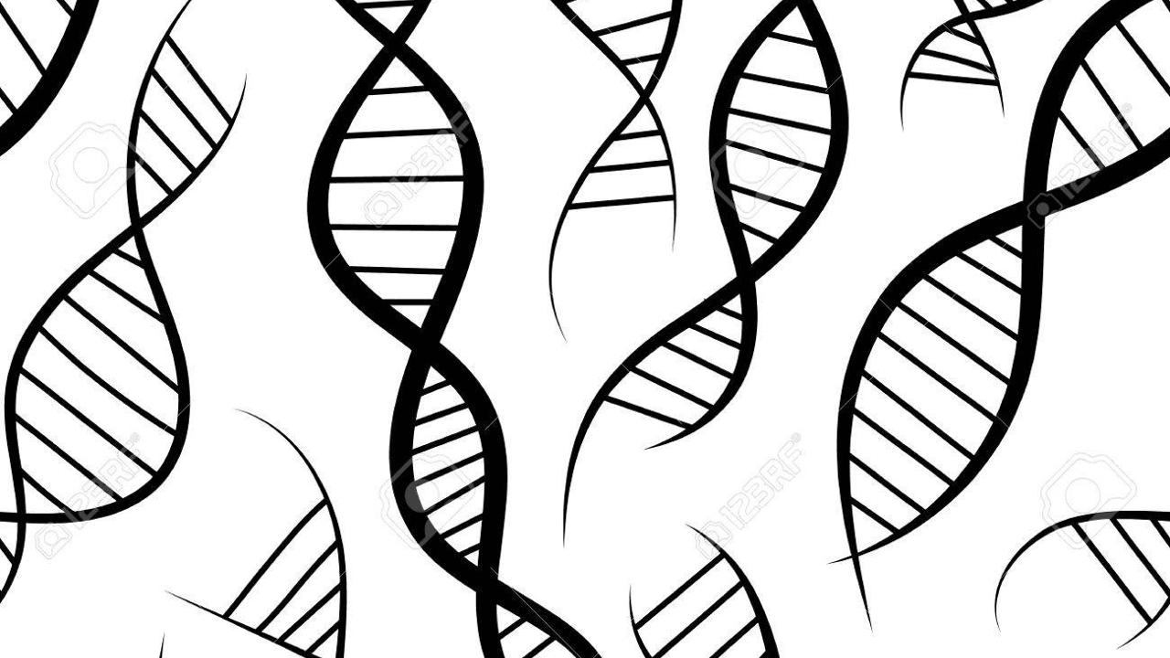 DNA
