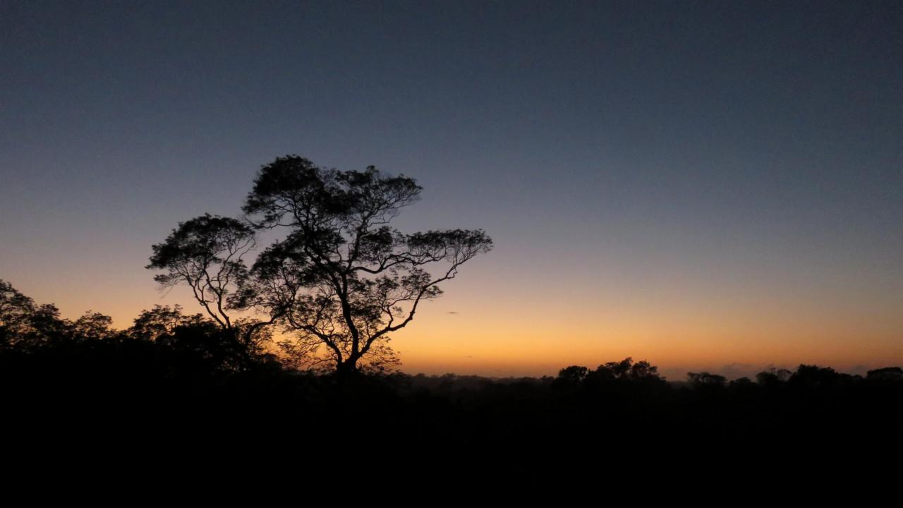 Zonsopkomst in de Amazone, credit: Hans ter Steege