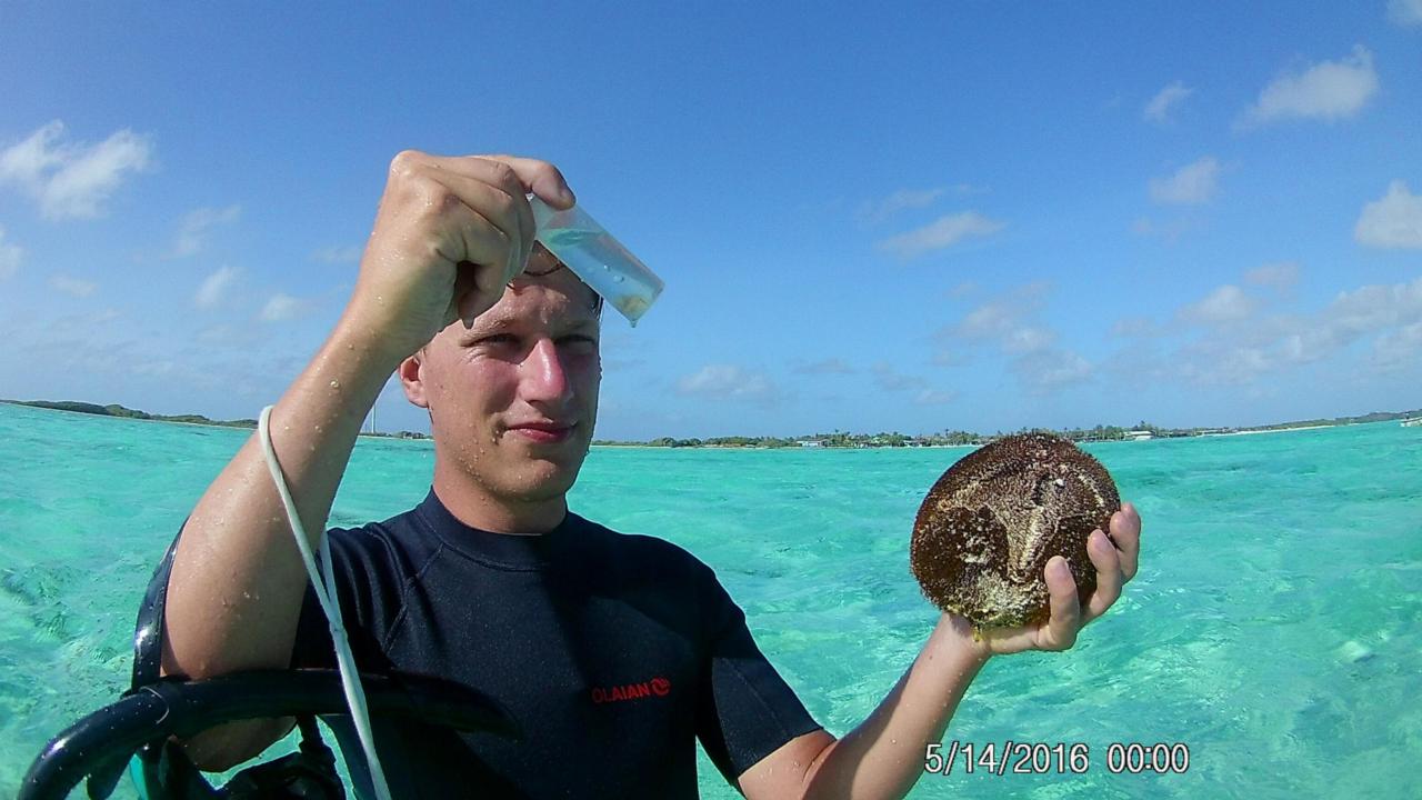 Werner de Gier in sea 