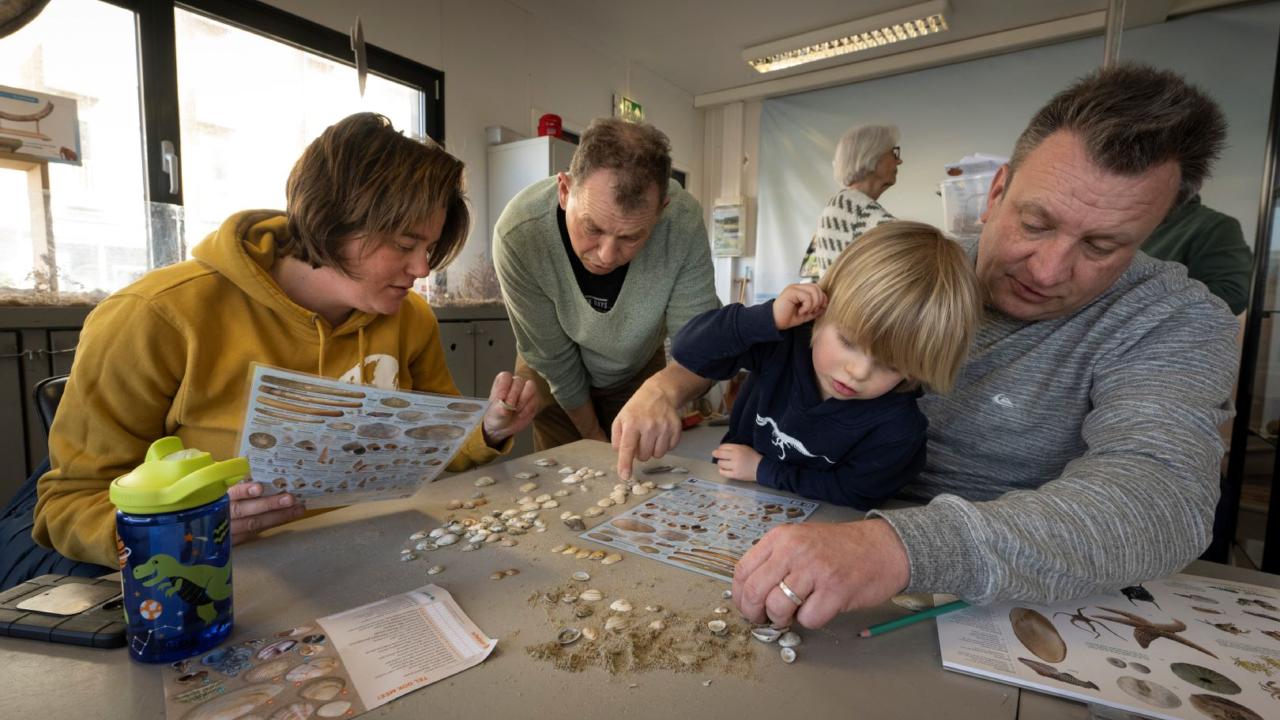 Schelpen tellen in Natuurcentrum Katwijk