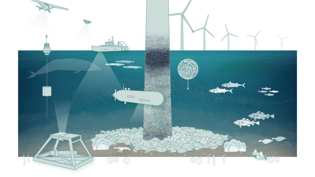 Alle technieken in beeld