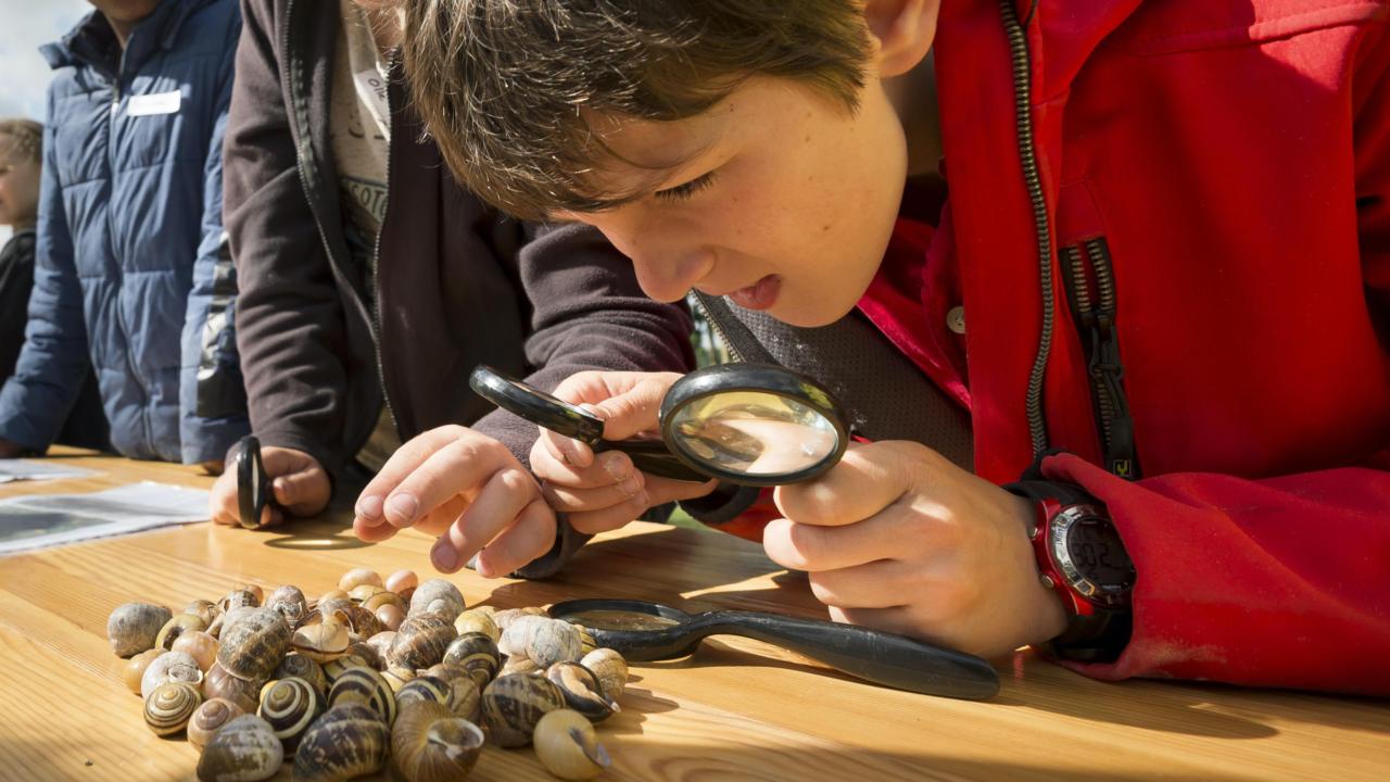 Jongens op expeditie