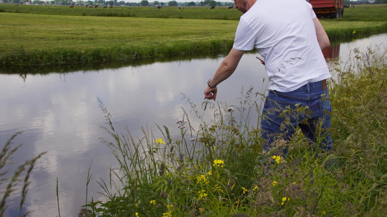 veldwerk langs de oever