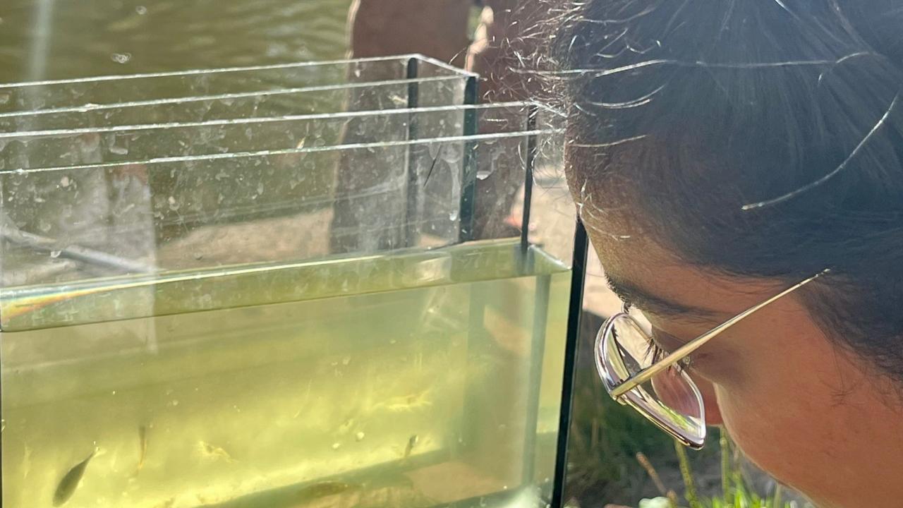 Melissa kijkt naar vissen