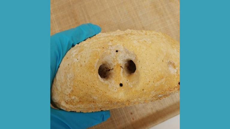 handbotje van een walvis