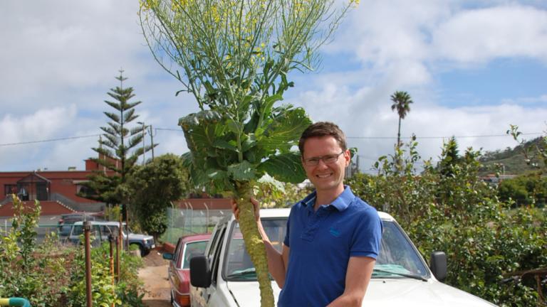 Dit is Frederic Lens met een gigantische houtige kool