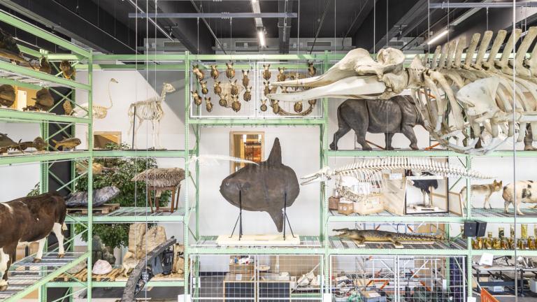 LiveScience Naturalis