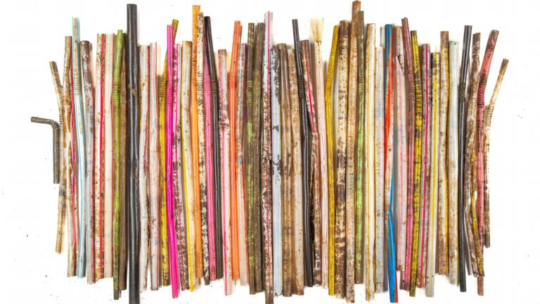 Rietjes uit één nest