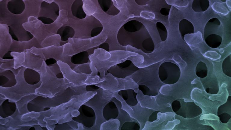 Netwerk van keratine en lucht in een veer creëert een blauwe kleur