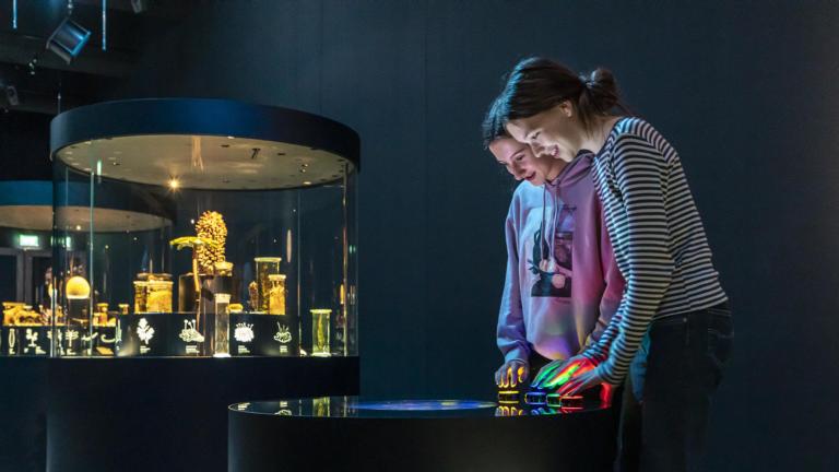 Interactive zaal Evolutie