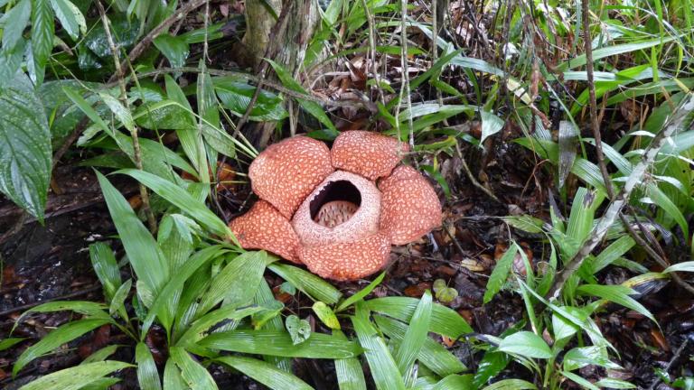 Sorry! Pic not available.