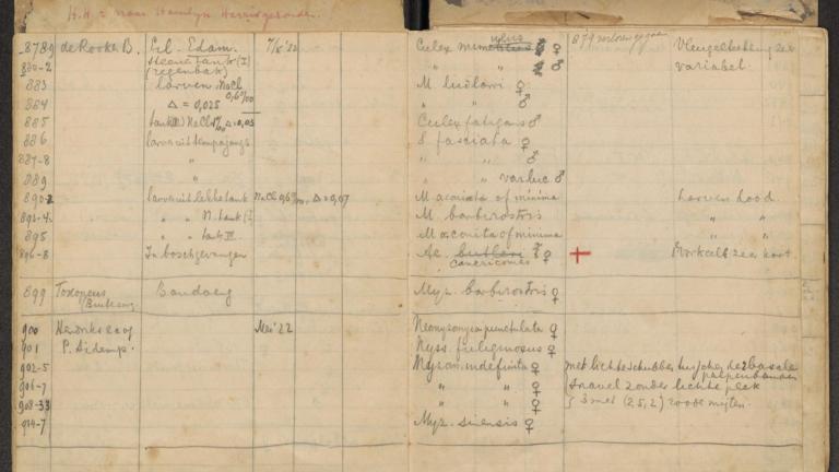 Dagboek van Bonne-Webster