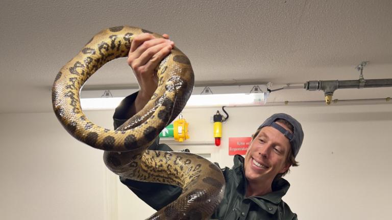 Freek met een dood exemplaar van de nieuwe anaconda-soort