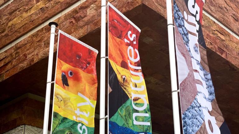 Pride rainbow flags 2021 