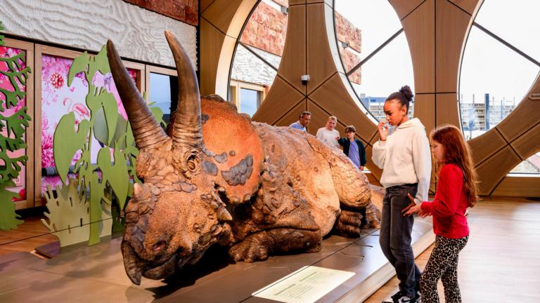 Triceratops at Naturalis