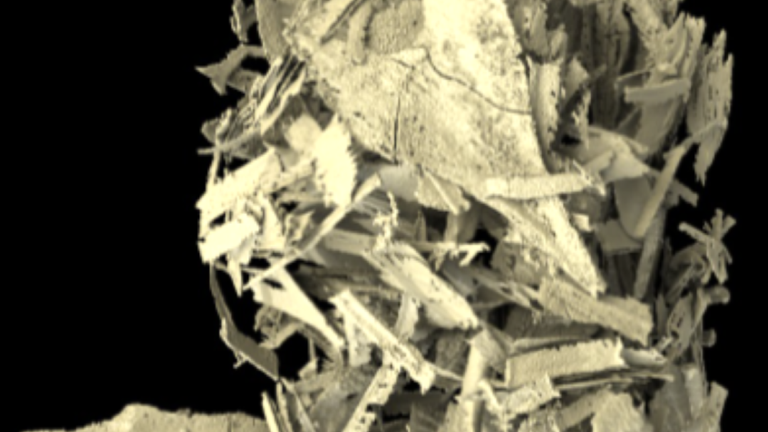 3D model of coprolite contents