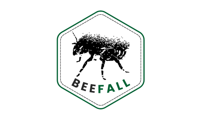 BeeFall logo