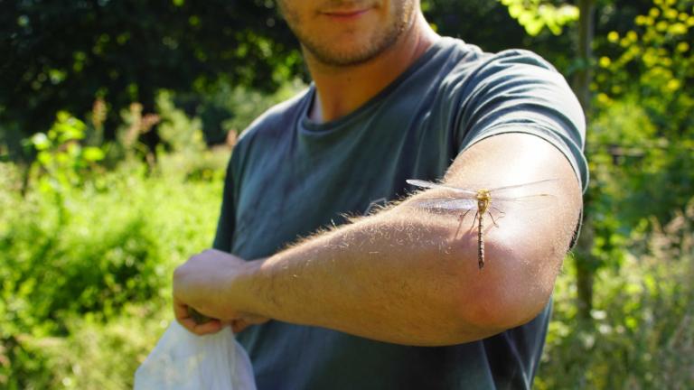 Credit Marit Moerman