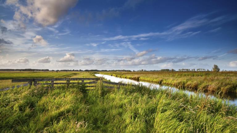 Nederlands landschap