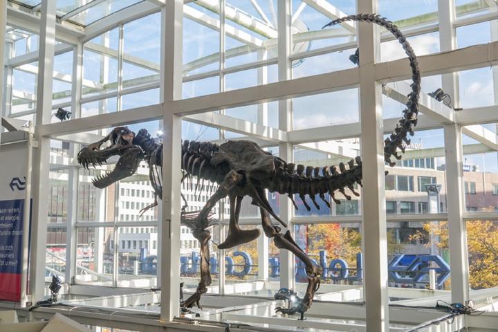 trex op leiden centraal