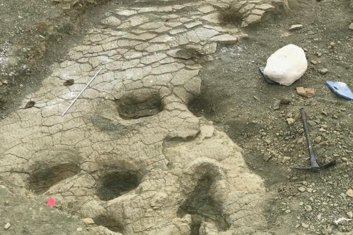 Dinosporen in de Jurassic Mile